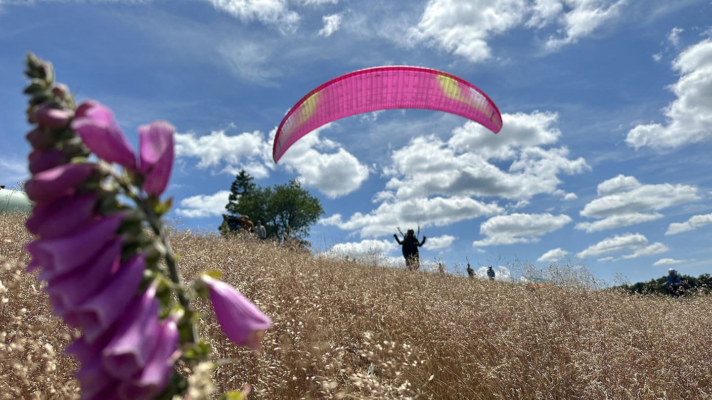 flugliebe 2025 07 24 01