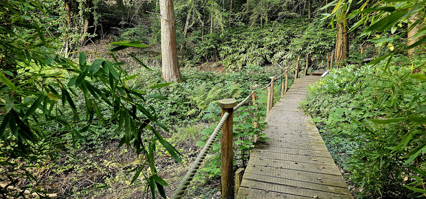 20250806 193513 1440